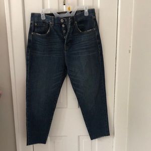 Torrid Jeans